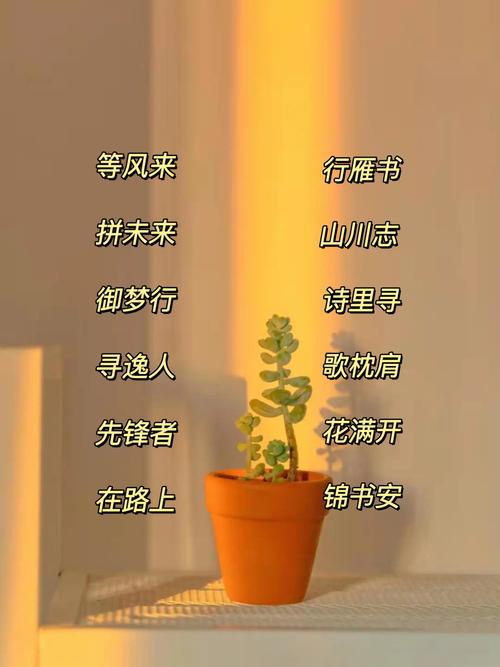 充满阳光的昵称，有没有什么特别的可以形容呢？