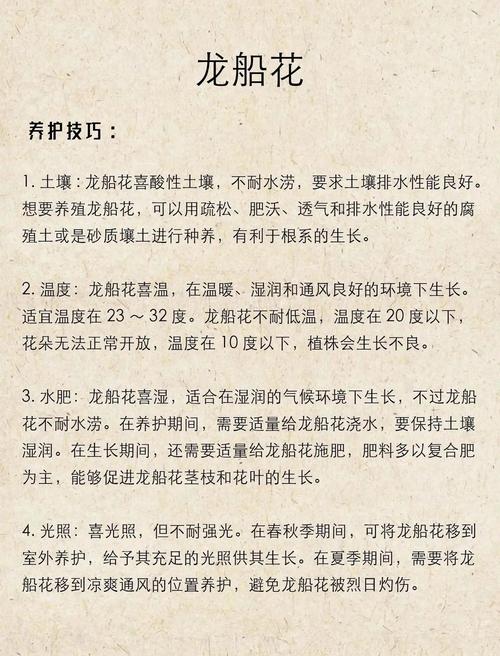 这个插花主题叫什么名字，它有什么特别的寓意吗？