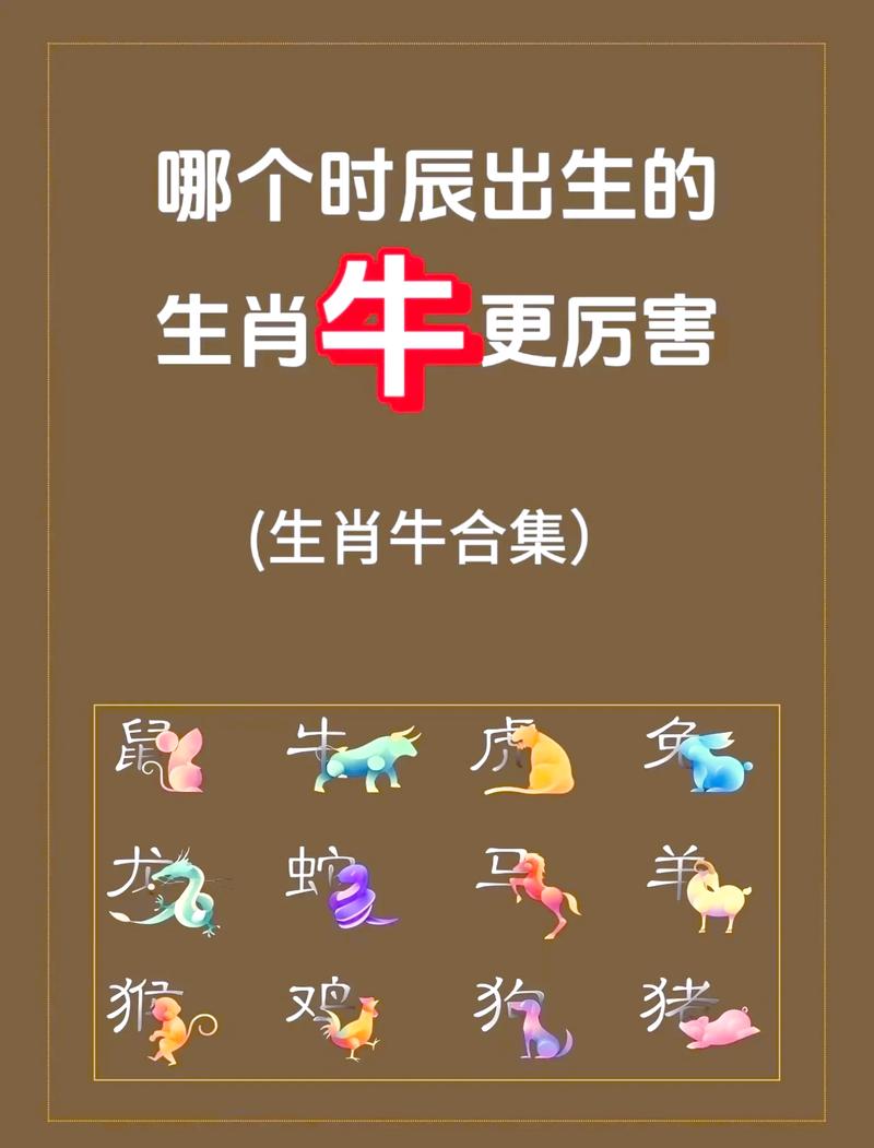 哪几个月份出生的牛被认为最有福气？