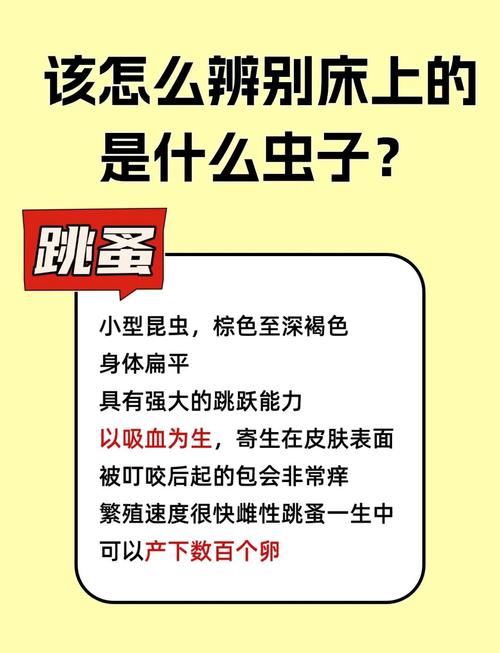 梦见床上成群虫子蠕动，这是不是预示着什么不祥之事？