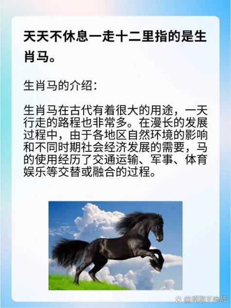 哪个生肖动物既胆大又心细，嫩行万里路呢？