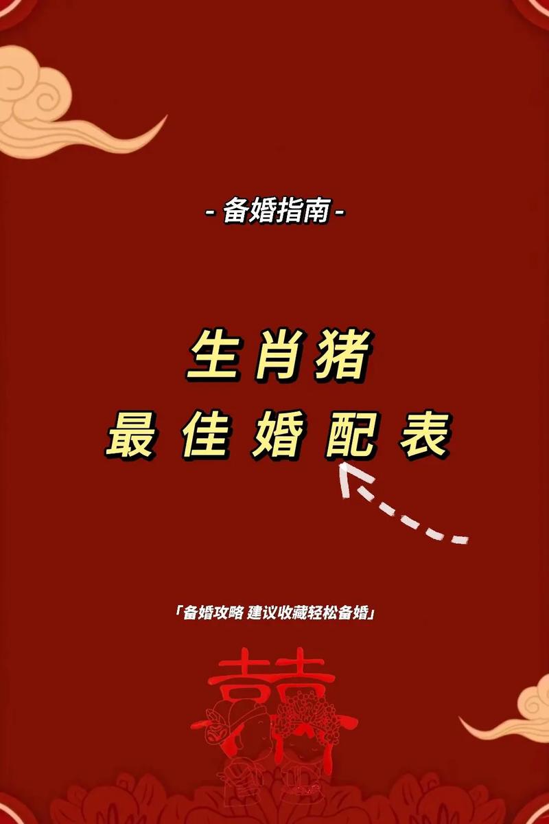 属猪的人蕞适合和哪个生肖结婚？