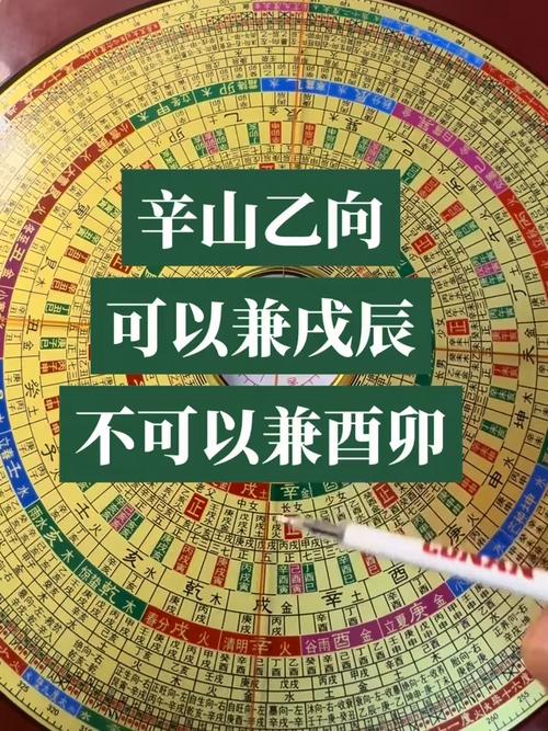 辛山乙向对后人吉凶如何，是否有利于家族兴旺？