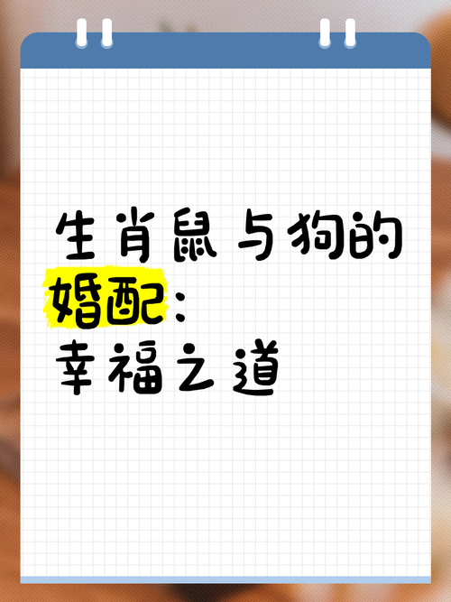 属狗和属鼠的婚姻运势会怎样？有没有什么特别的配对建议？