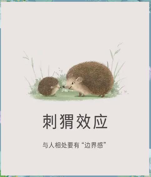 女人梦见刺猬预示着什么吉凶？有什么特殊含义？