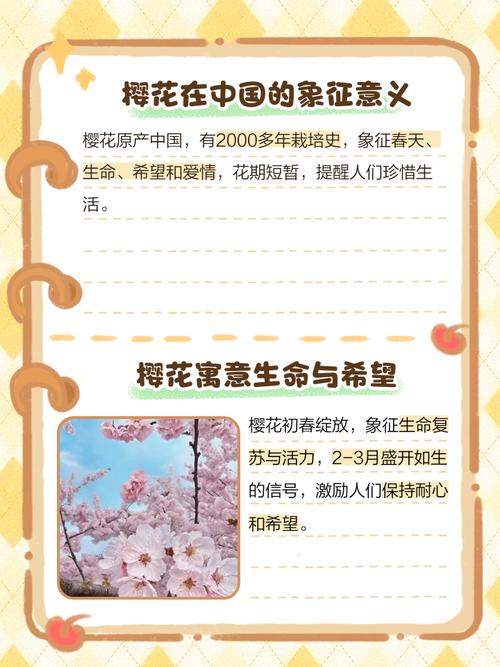 书樱什么意思？它蕴含了怎样的寓意和象征？