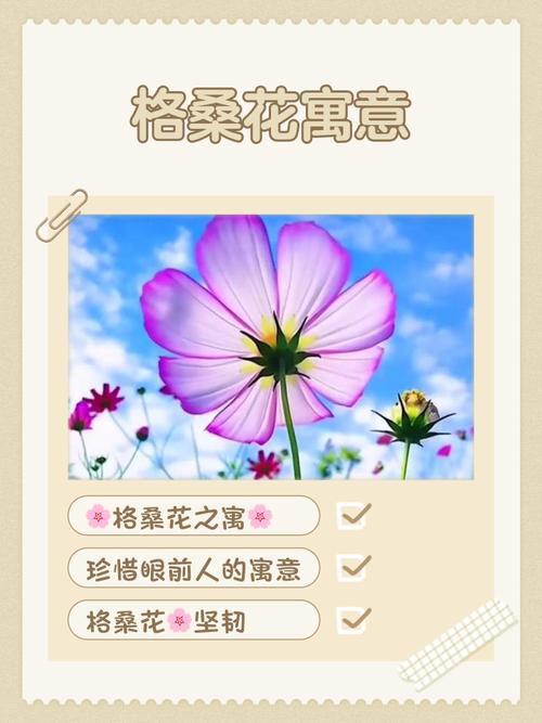 女人梦见堪花有什么特殊预兆或象征意义？