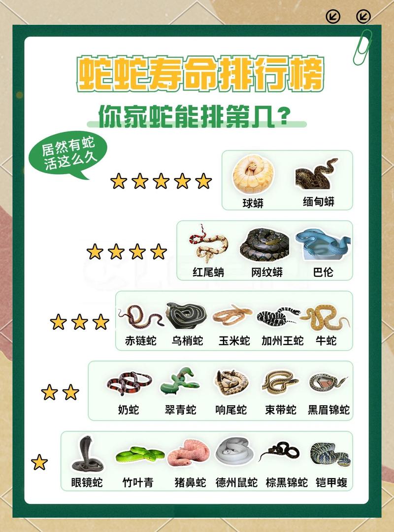 65岁属蛇女性平均寿命是多少年？