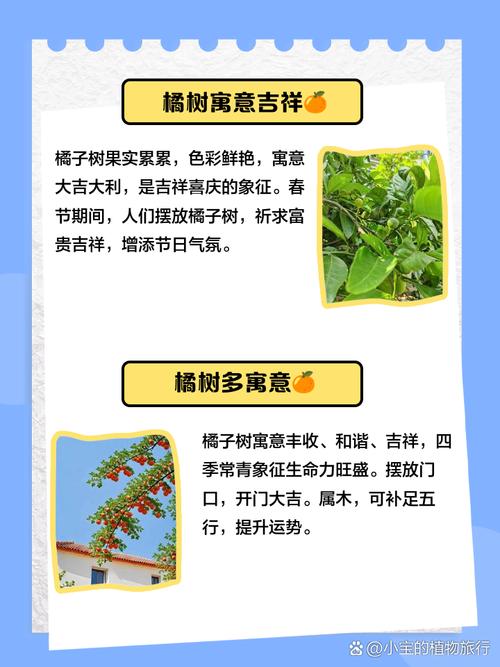 梦见在橘子树上摘橘子吃有什么特别的预兆吗？