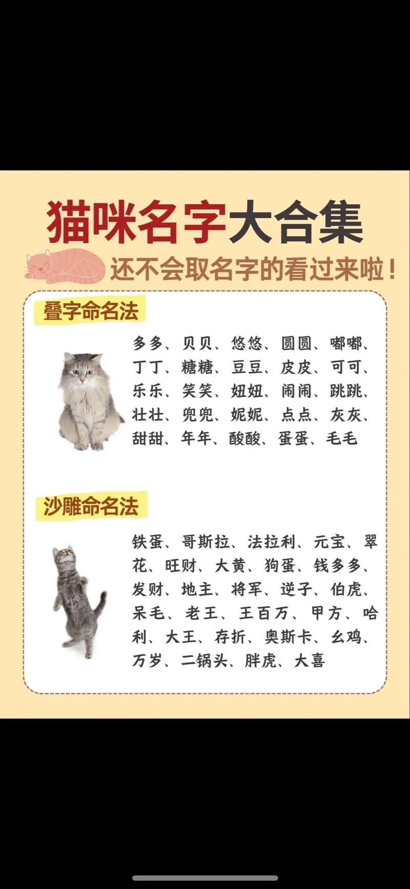 寓意吉祥的动物名字，能否赋予宠物更美好的寓意呢？
