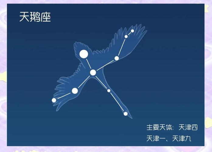 天津市的地理位置属于哪个星座？天津四又属于哪个星座呢？