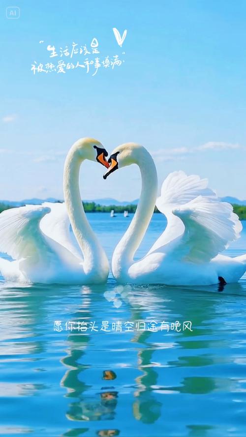 女人梦见两只白鹅究竟预示着什么吉祥的征兆呢？