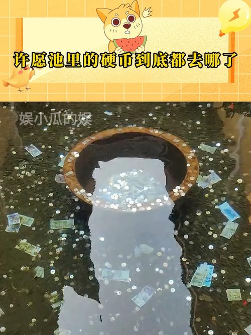 梦见在许愿池丢硬币有什么特殊预兆或含义？