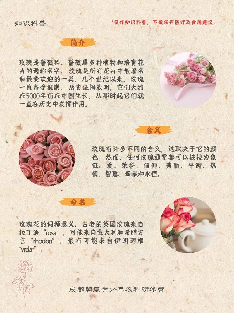 玫字五行属什么几画，它的意思是什么？