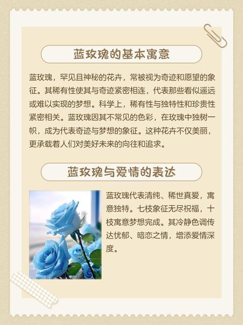 为什么在特殊场合不宜轻易赠送蓝玫瑰？