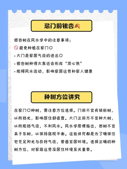 银杏树风水禁忌有哪些需要注意？