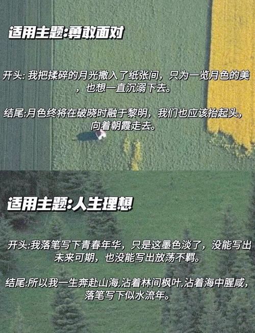 创意节目名称如何成吸引人的长尾？