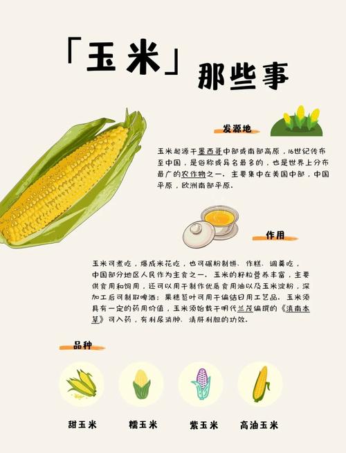 梦见自己吃生玉米是什么征兆？预示着什么好事发生？