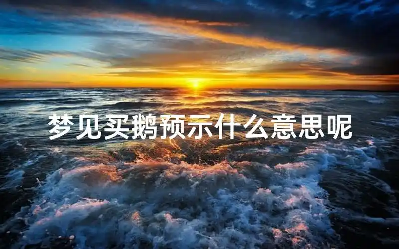 梦见大鹅闯进家中，这究竟是什么吉凶预兆？