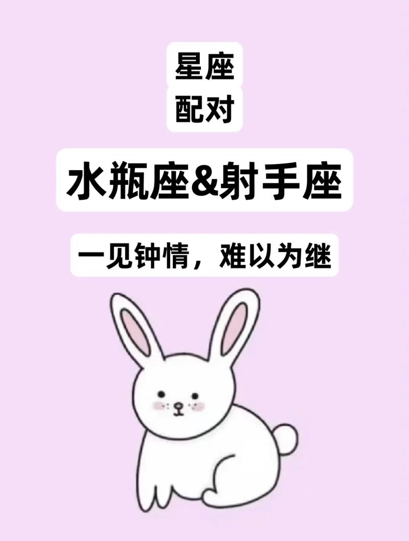 水瓶座和射手座在一起会幸福吗？他们的性格和价值观是否匹配？