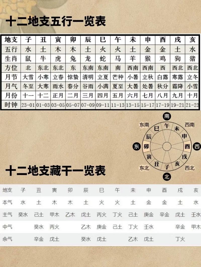 十二地支分别对应哪些五行和方位？
