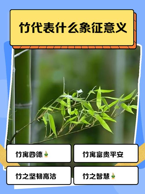 女人梦见竹子被砍断，这预示着什么？是吉是凶？
