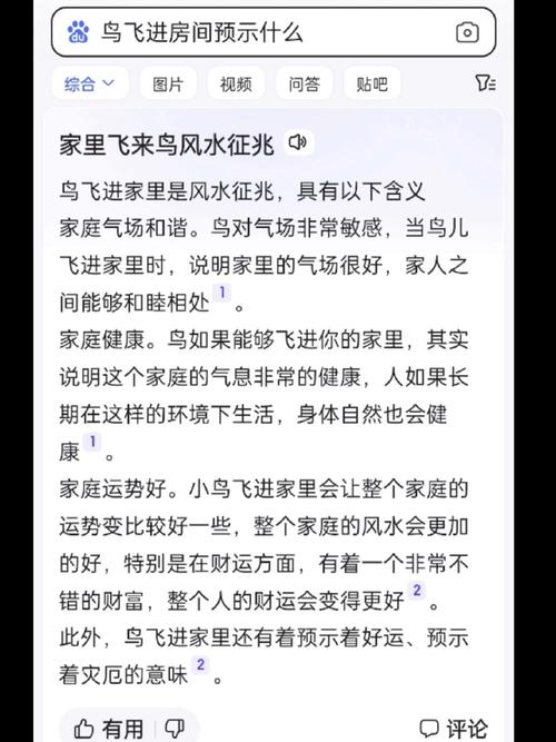 梦见鸟儿飞入家中预示着什么吉凶？