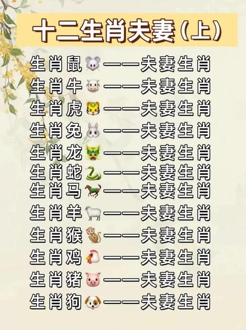 属狗与属鼠合作在事业上是否相得益彰？