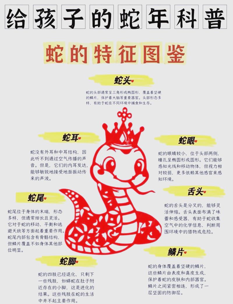 属蛇的命运究竟在何方，一生命运会怎样展开？