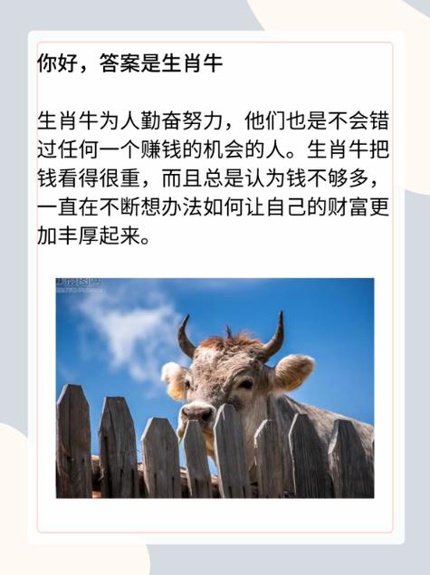 欲用金钱购买山中至高无上的王者，这指的是哪种生肖动物呢？