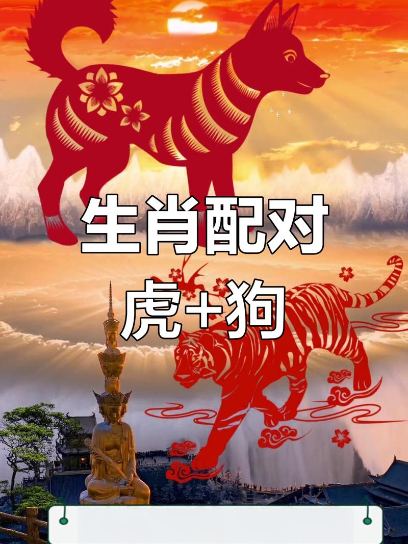 属狗和属虎的合不合，他们的关系和谐吗？