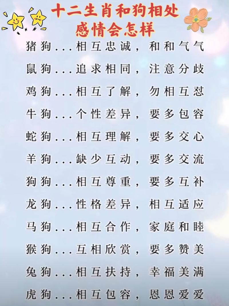 属狗的人到底和哪个生肖最合得来呢？