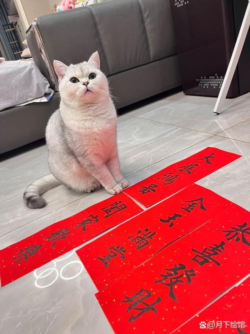 过年时农村蕞喜欢贴的四个字是什么？寓意吉祥，表达美好愿景？