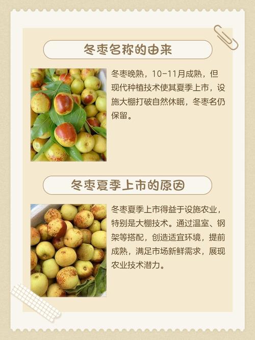 已婚女人梦到吃冬枣，预示着什么吉祥寓意？