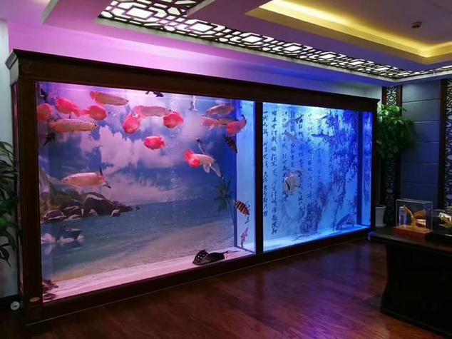 梦见鱼缸破碎预示着什么这梦境是否意味着不好的预兆？