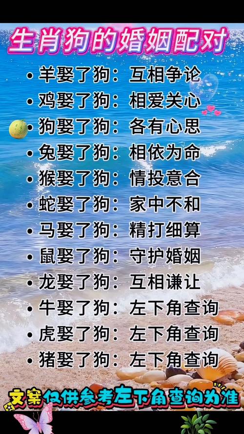 1983年属猪的人，在狗年结婚会否影响姻缘？