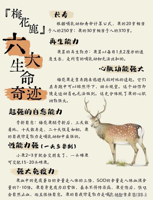 梦见别人杀害麋鹿究竟是什么预兆，预示着什么不祥之事或即将发生的变化呢？