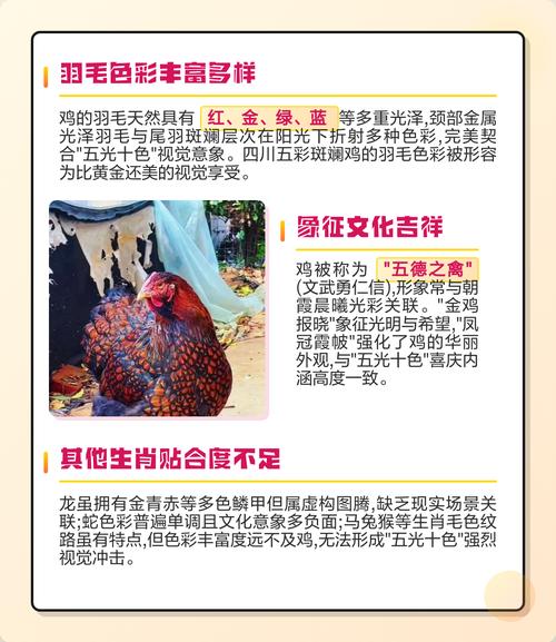五光十色的生肖动物究竟是指哪一种？
