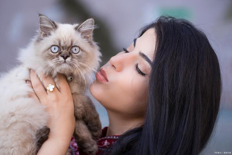 喜欢猫的女人性格特点有哪些？