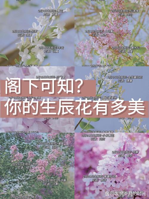 农历二月的花是什么？它有什么忒别的寓意吗？