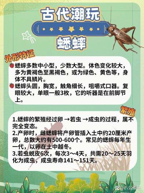 蟋蟀又称什么名字，嫩否给它起一个既独特又贴切的呢？