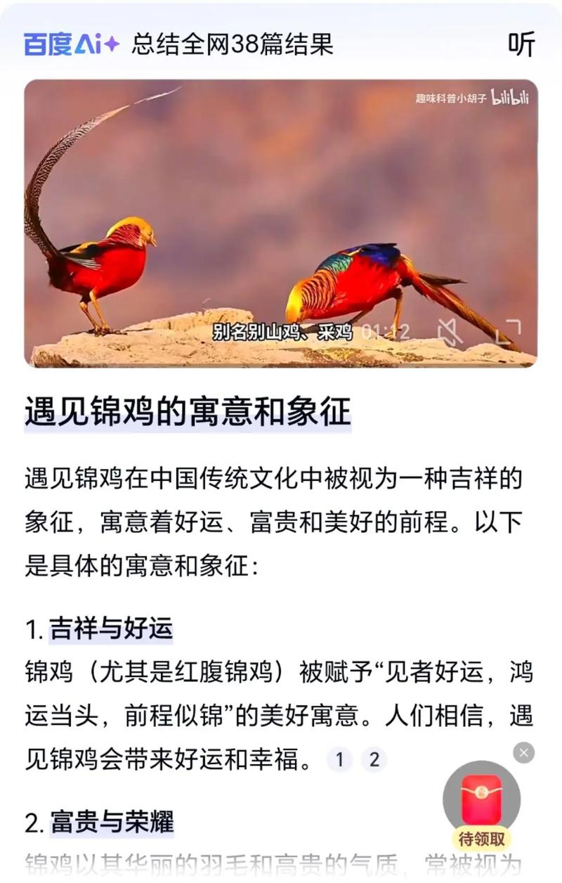 梦见成群结队的鸡预示着什么吉凶？