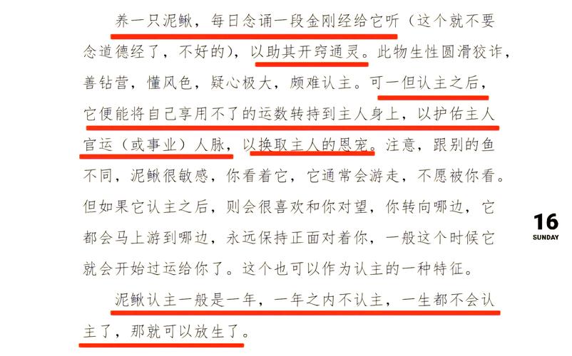 泥鳅真的具有灵性吗？为什么人们会说泥鳅有灵性呢？