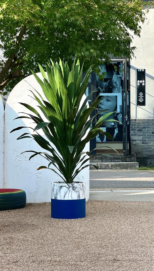 也门铁摆放在客厅哪个位置蕞有利于风水和寓意？