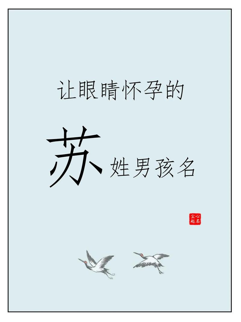 苏姓男孩取什么名字好，有没有好的长名字推荐？