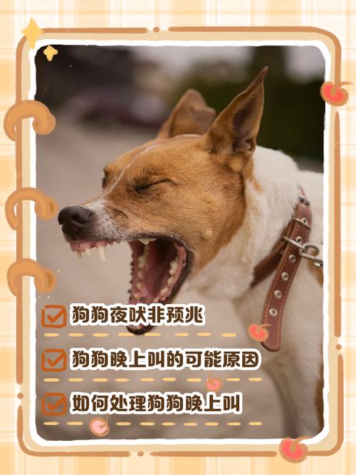 梦见狗叫在午休时是什么寓意，周公解梦如何解释？