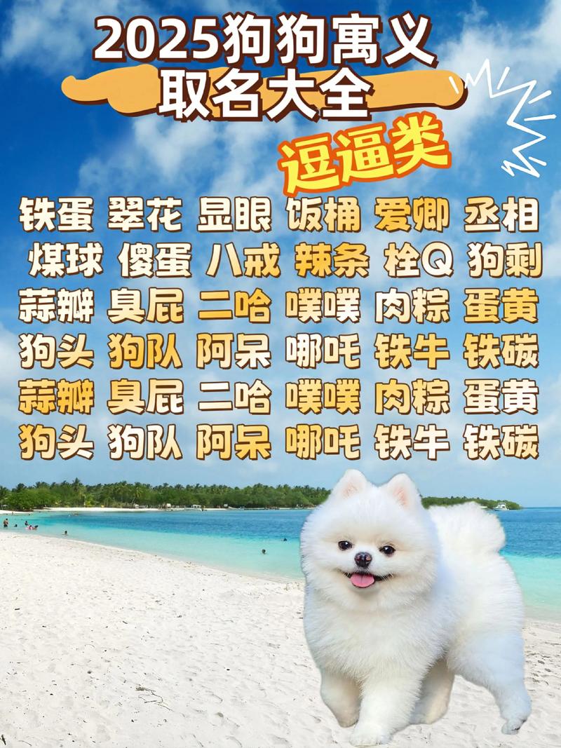 有哪些寓意吉祥的狗狗名字大全，可以给小狗起个有寓意的名字呢？