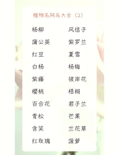 有没有什么冷门又好听的植物名字，两个字组成？
