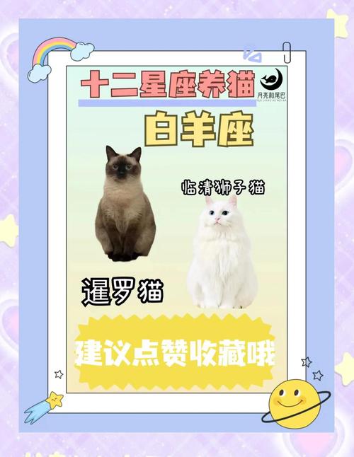白羊座适合养什么类型的宠物猫狗，能激发它们活泼热情的个性呢？