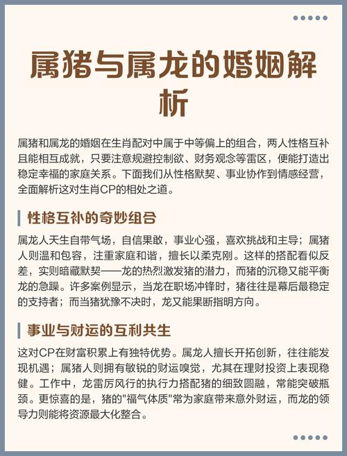龙和猪的婚姻配对是否合适？